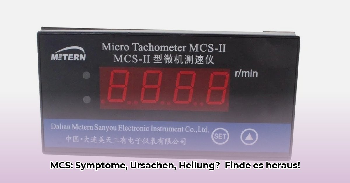 mcs-erkrankung